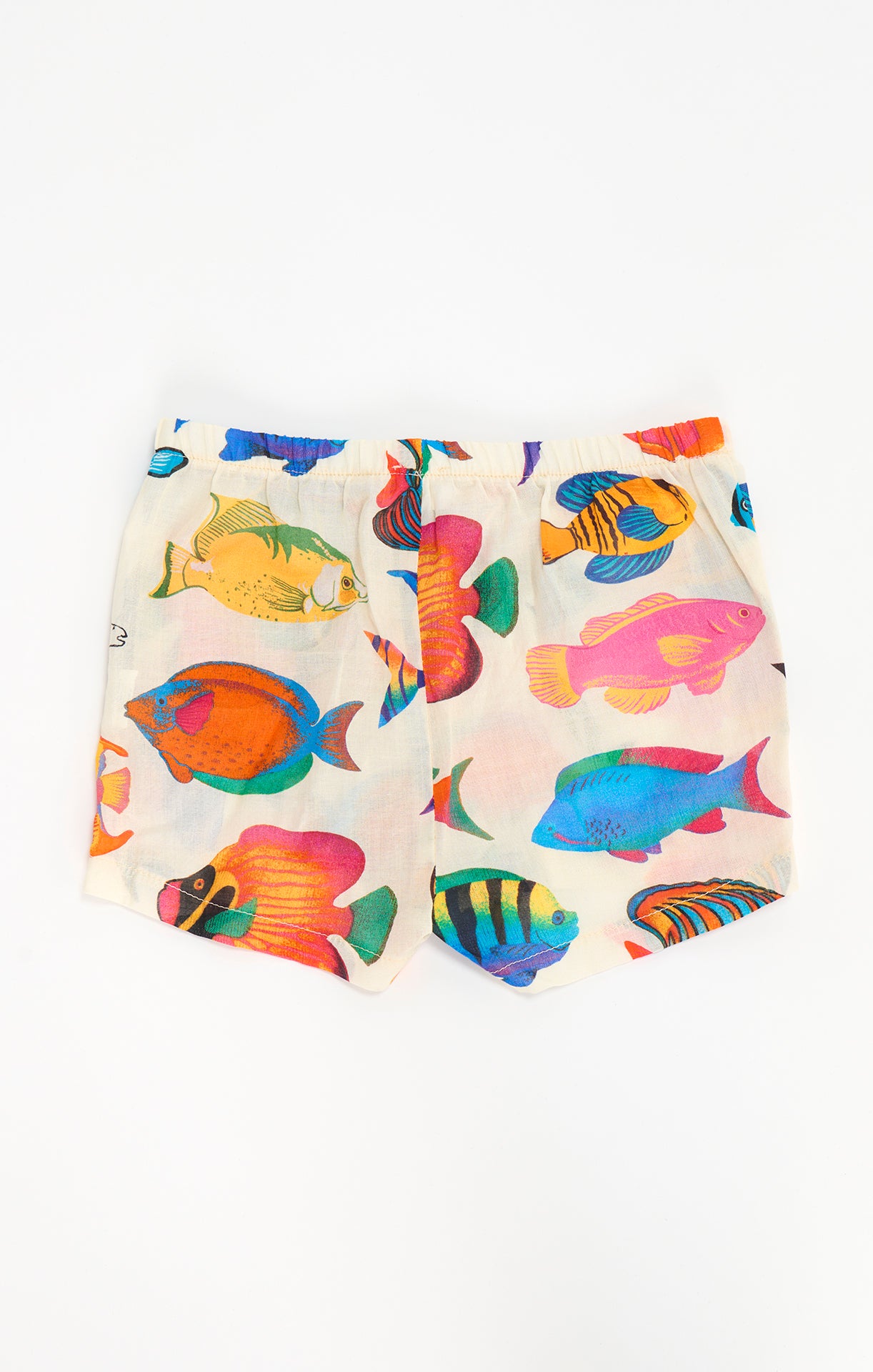 Rainbow Reef Toddler Shorts - Elastic Waist Playtime Shorts for Kids